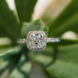 platinum ring with a 1ct cushion cut diamond as the centre stone and a halo of diamonds surrounding the centre stone as well as along the band taken on a picture of a leaf.